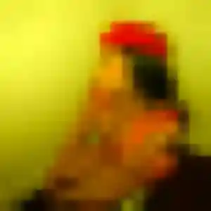 Charmante Charlotte, 41 ans à Onet-le-Château - voir sa photo