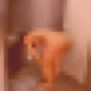 Photo privée de Harmony, 33 ans à Onet-le-Château - rencontre sans lendemain