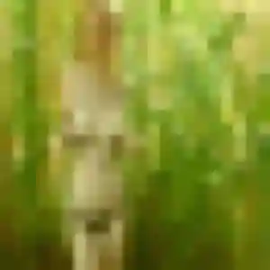 Rejoins Isabella, 33 ans à Orthez en t'inscrivant