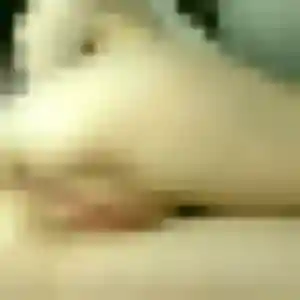 Charmante Sonia, 34 ans à Ostricourt - voir sa photo