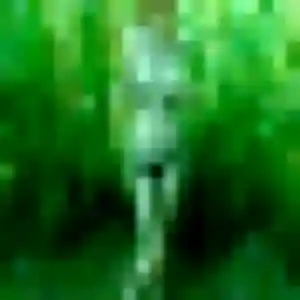 Photo exclusive de Estelle, 34 ans à Paimpol - rencontre sans lendemain