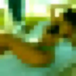 Rebecca (36 ans) à Parentis-en-Born propose un plan cul maintenant