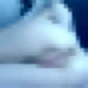 Belle Zephyrine, 30 ans à Pauillac - la contacter