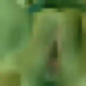 Adelaide de Pélissanne, 25 ans - plan cul sans prise de tête