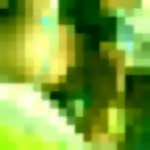 Diane, 29 ans, dispo pour plan cul à Penmarch