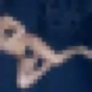 Kenza, 32 ans, dispo pour plan cul à Périgny