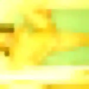 Martine de Pessac, 25 ans - plan cul en toute liberté