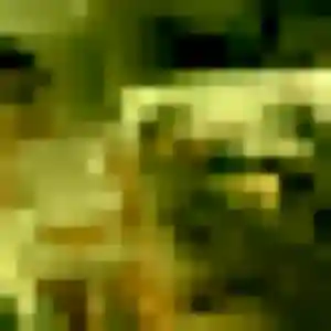 Photo perso de Jennifer, 29 ans à Petit-Canal - rencontre coquine