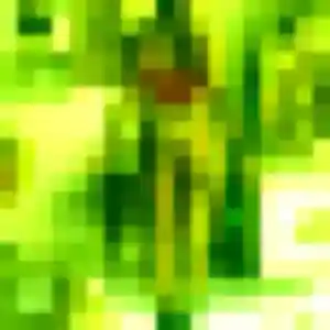 Charline de Petit-Caux, 39 ans - plan cul en toute liberté