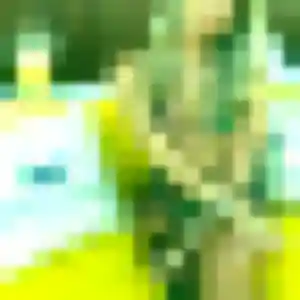 Bettina, 32 ans, disponible à Petite-Forêt pour un plan cul