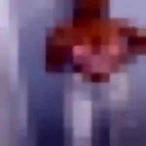 Photo privée de Sarah, 31 ans à Petite-Île - plan discret