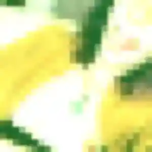 plan cul à Plérin : photo de Melodie, 35 ans - accès libre