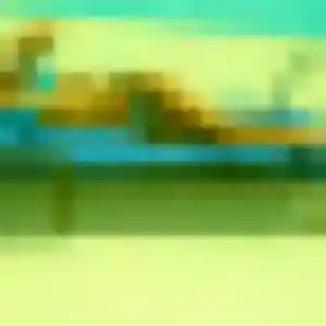 Belle Anne-Charlotte, 26 ans à Plessé - voir sa photo