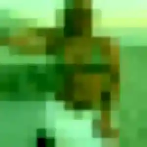 Rejoins Sibylle, 32 ans à Ploufragan gratuitement