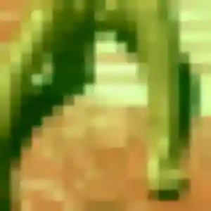 Contacte Fleur, 41 ans à Pluvigner en privé