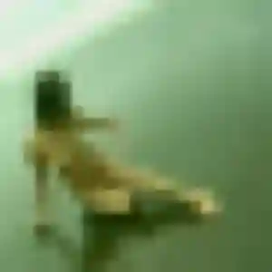 Marine, 20 ans, connectée à Pont-Évêque pour une rencontre coquine