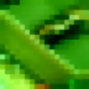 Marie-Laure de Port-Jérôme-sur-Seine, 25 ans - plan cul en toute liberté