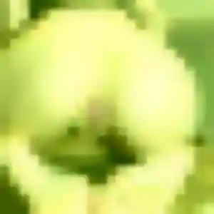 Nicole, 21 ans, connectée à Publier pour un plan cul