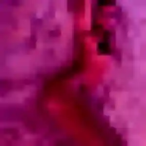 Djamila, 33 ans, disponible à Puget-sur-Argens pour une rencontre coquine