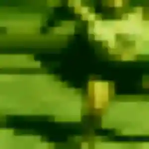 Ornella, fille de 43 ans veut plan cul à Pulnoy