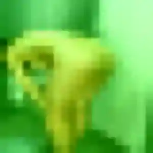 Constance, femme de 36 ans propose plan cul à Questembert