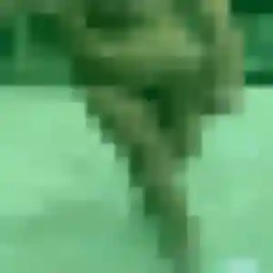 Découvre Marie-Helene, 35 ans à Questembert en t'inscrivant