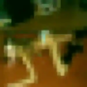 Yolande, 32 ans, veut un plan cul à Quiévrechain