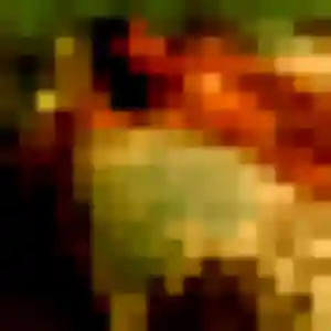 Ursule, 21 ans, en ligne à Quimperlé pour une rencontre coquine