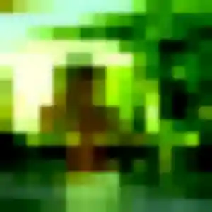 Photo de Muriel à Raismes (40 ans) - plan cul gratuit