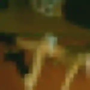 Christelle, 24 ans, en ligne à Ramonville-Saint-Agne pour une rencontre coquine