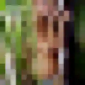 Photo privée de Yvette, 35 ans à Ramonville-Saint-Agne - plan discret