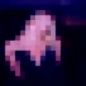 Jolie Odette, 24 ans à Redon - voir sa photo