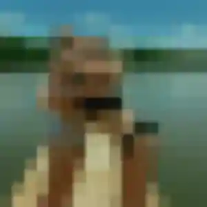 Profil de Tamara à Rennes (22 ans) - plan cul discret