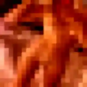 Henriette, 41 ans, disponible à Riantec pour une rencontre coquine