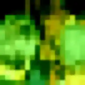 Fleur de Riedisheim, 19 ans - plan cul sans lendemain