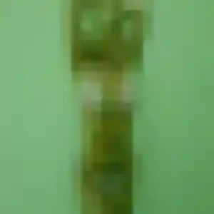 plan cul à Rillieux-la-Pape : profil de Joanne, 20 ans - accès libre