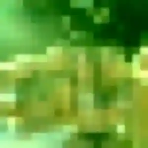 Rencontre Dounia, 36 ans à Rives en t'inscrivant