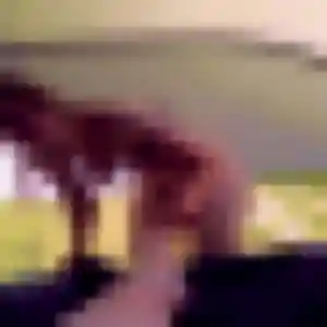 Lucienne, femme de 25 ans propose plan cul à Rivière-Salée