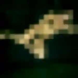 Profil de Flore à Roanne (37 ans) - plan cul sans inscription