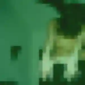 Photo privée de Regine, 26 ans à Roanne - rencontre coquine