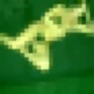 Noemie, femme de 40 ans cherche plan cul à Rocbaron