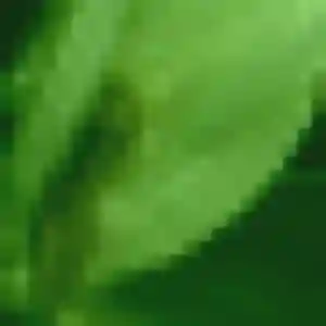 Belle Stephanie, 41 ans à Roche-la-Molière - découvrir son profil