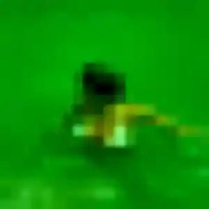 Charmante Irene, 28 ans à Rochefort-du-Gard - la contacter