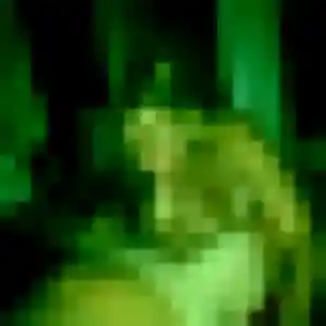 Jolie Gaia, 26 ans à Roubaix - la contacter