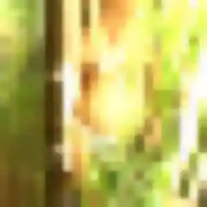 Photo perso de Katia, 25 ans à Rouen - rencontre sans lendemain