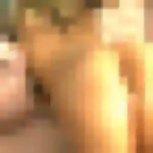 Jolie Natacha, 30 ans à Roussillon - découvrir son profil