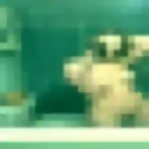 Candice de Rouvroy, 29 ans - plan cul en toute liberté