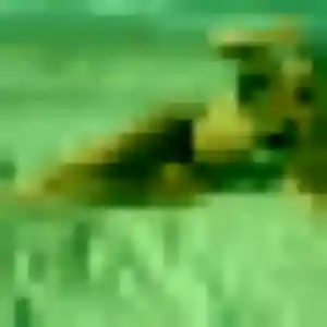 Anna (38 ans) à Rueil-Malmaison propose une rencontre aujourd'hui