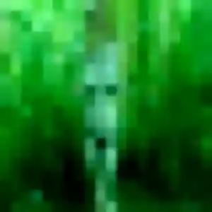 Anne-Marie, fille de 23 ans cherche plan cul à Rumilly