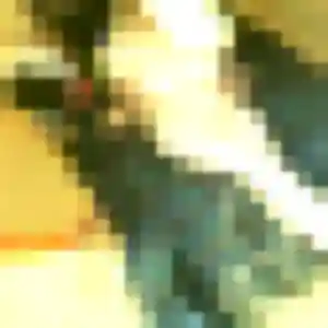 Charmante Sarah, 34 ans à Saint-André-de-Cubzac - découvrir son profil